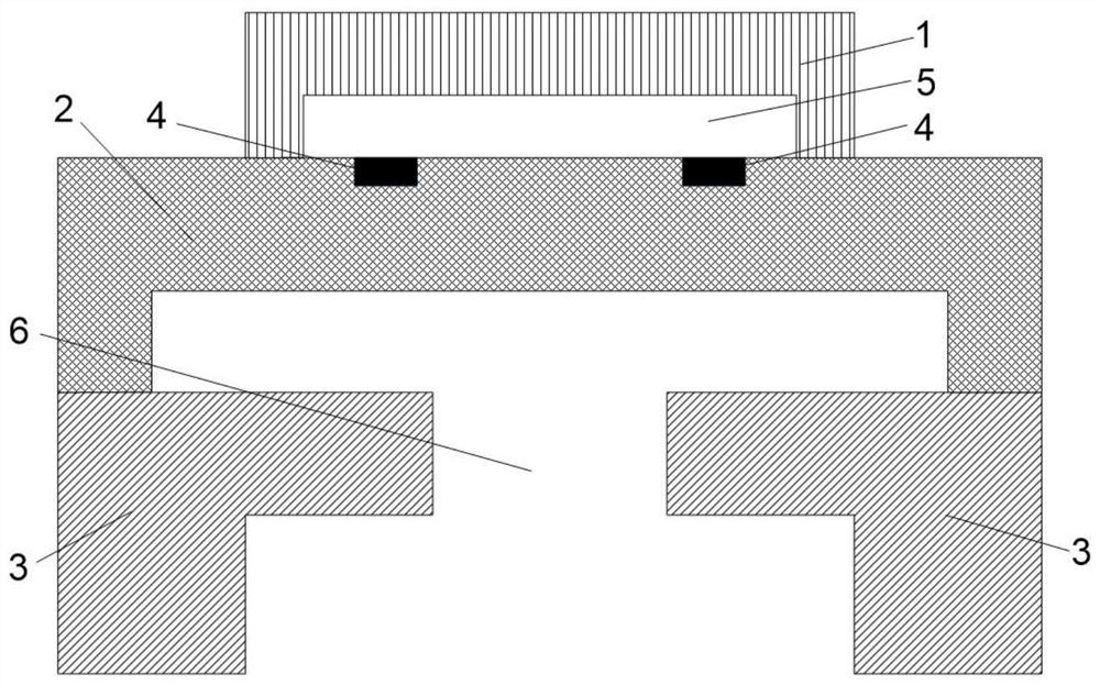 A kind of sensor and preparation method thereof