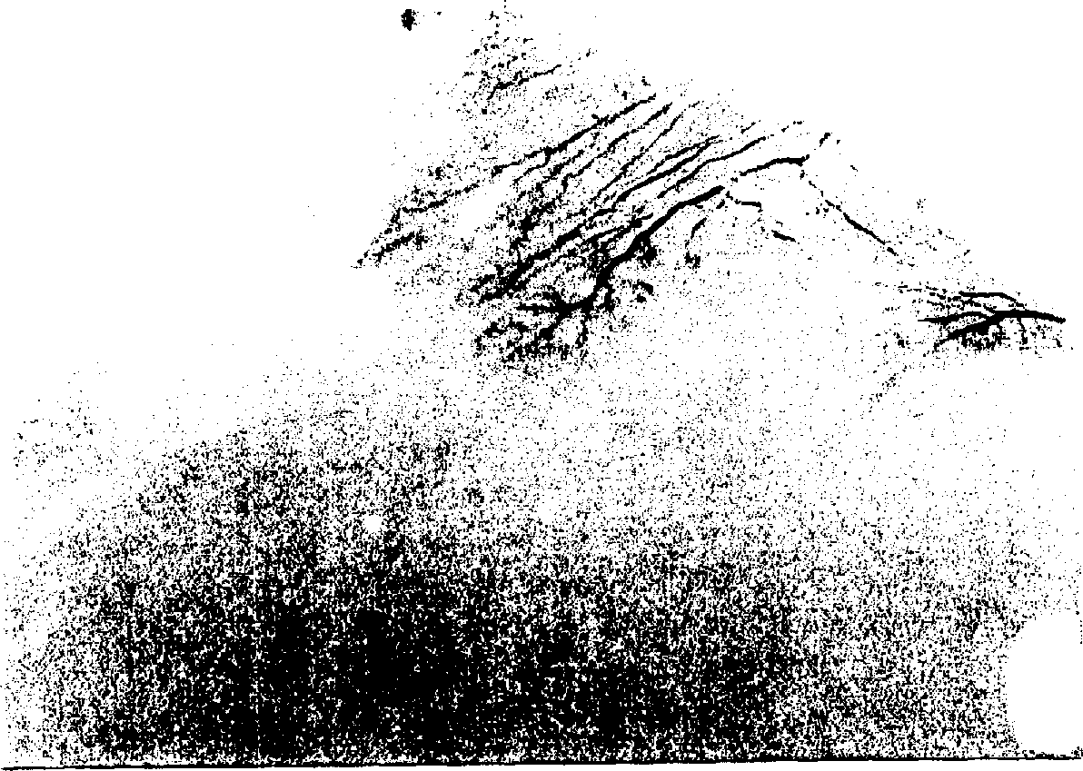 Neovascularization promoters