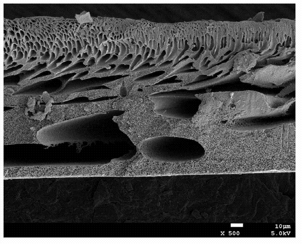 Preparation method of high-corrosion-resistance polyarylene sulfide sulfone separation membrane