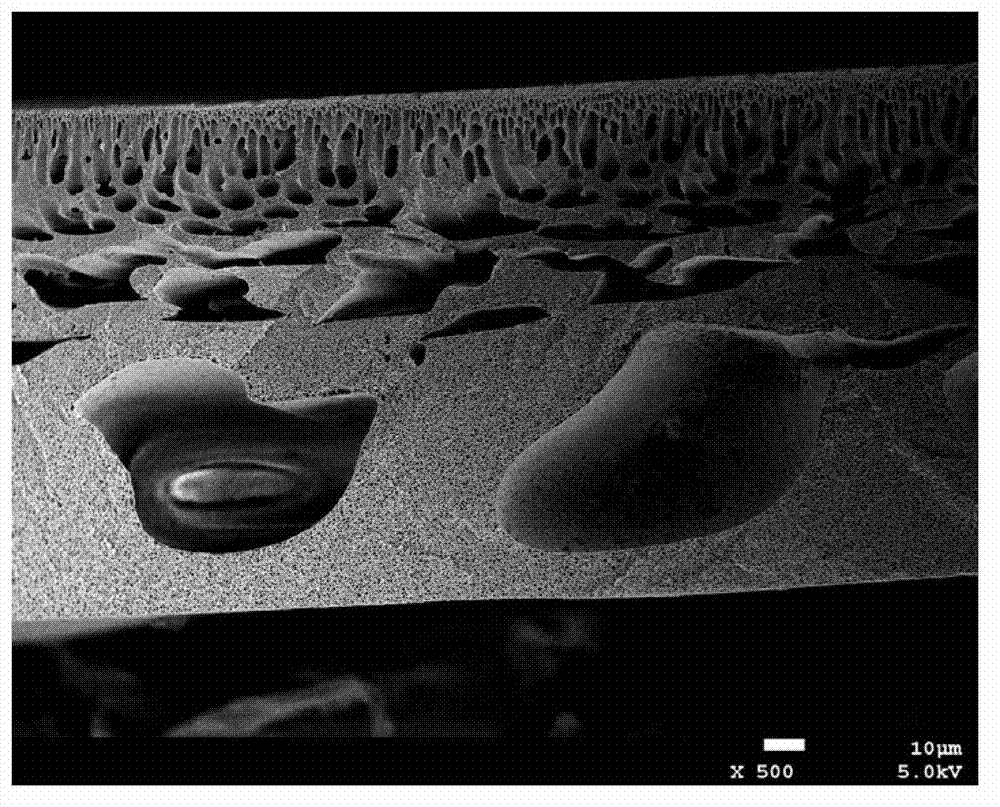 Preparation method of high-corrosion-resistance polyarylene sulfide sulfone separation membrane