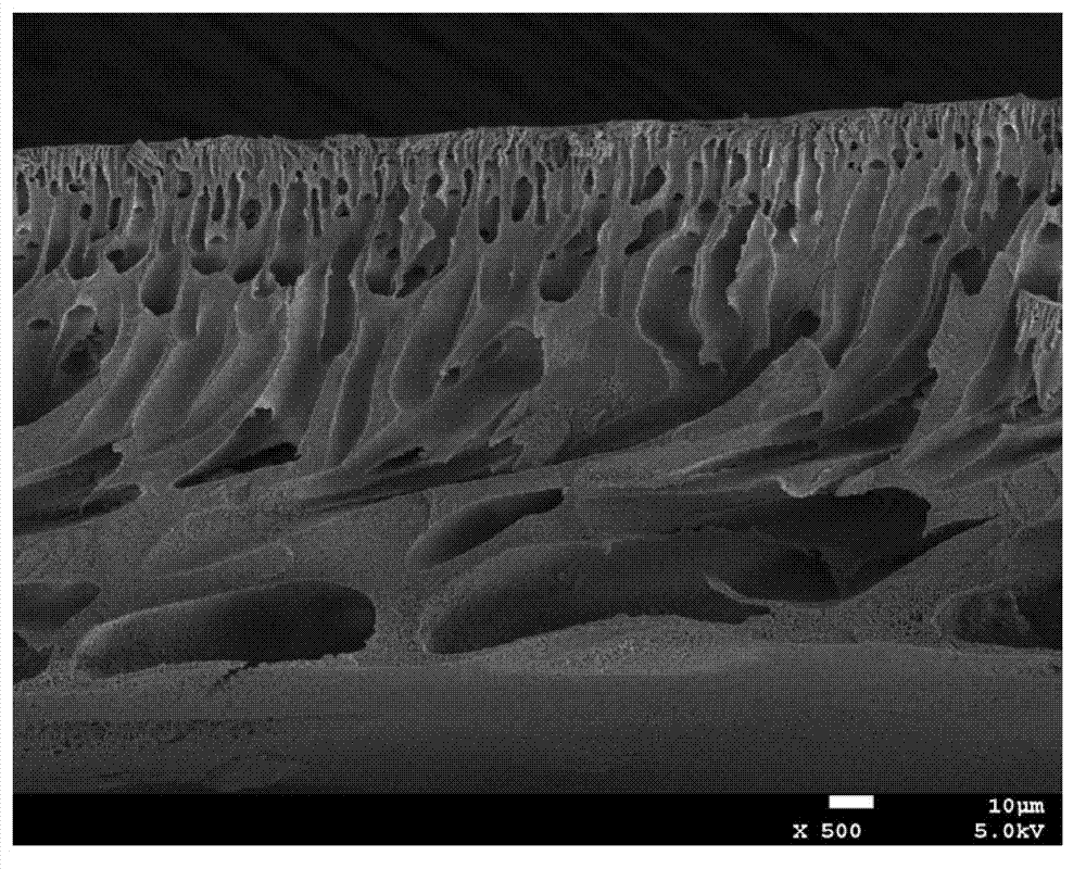 Preparation method of high-corrosion-resistance polyarylene sulfide sulfone separation membrane