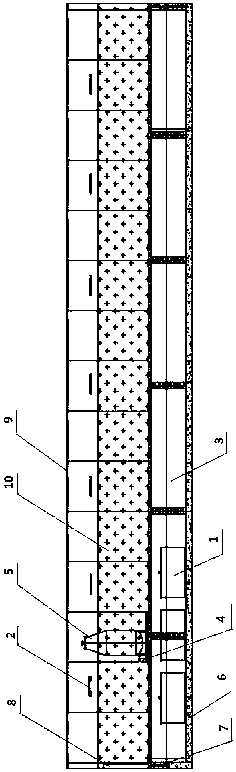 Rainbow trout breeding method for environment release detection of nucleic acid vaccine