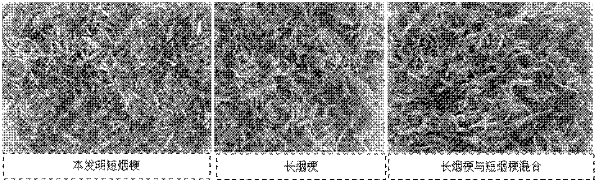 Method for improving usability of short tobacco stem