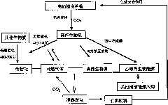 Processes for preparing and using high-energy biomass and biological carbon