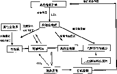 Processes for preparing and using high-energy biomass and biological carbon