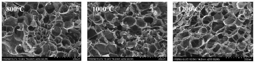 Preparation method and application of N-doped three-dimensional independent biomass carbon material derived from fresh ginger