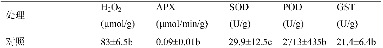 A method for alleviating the autotoxic injury of Panax notoginseng by using oxalic acid