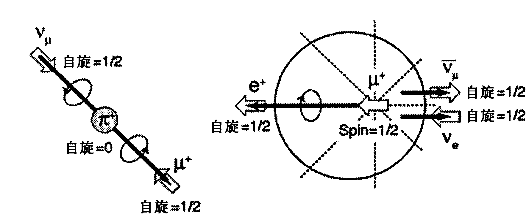 Nondestructive inspection apparatus and nondestructive inspection method for composite structure