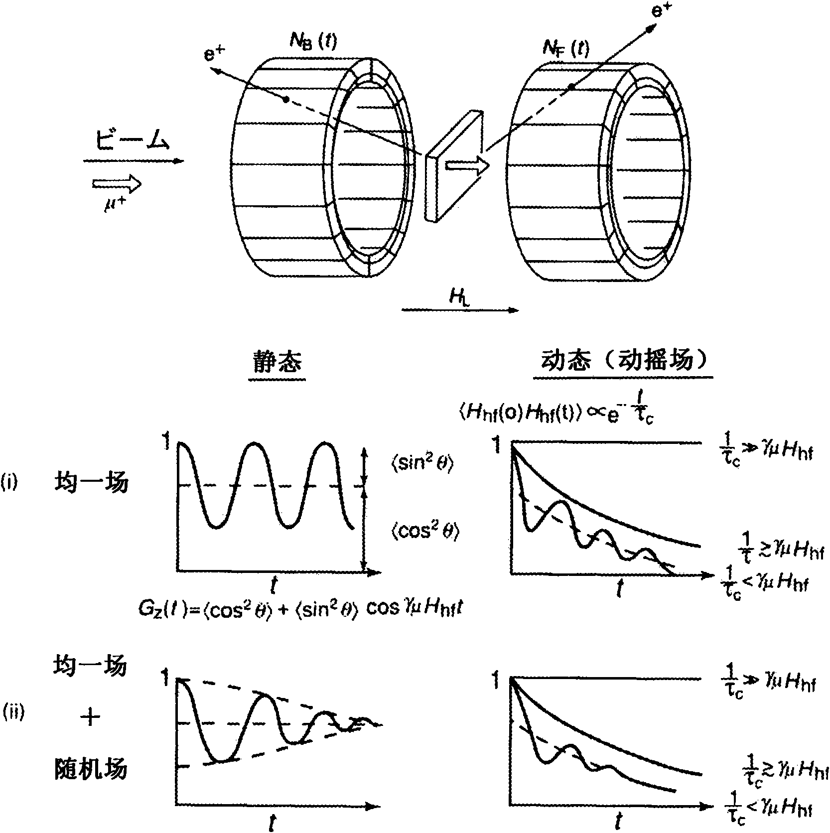 Nondestructive inspection apparatus and nondestructive inspection method for composite structure