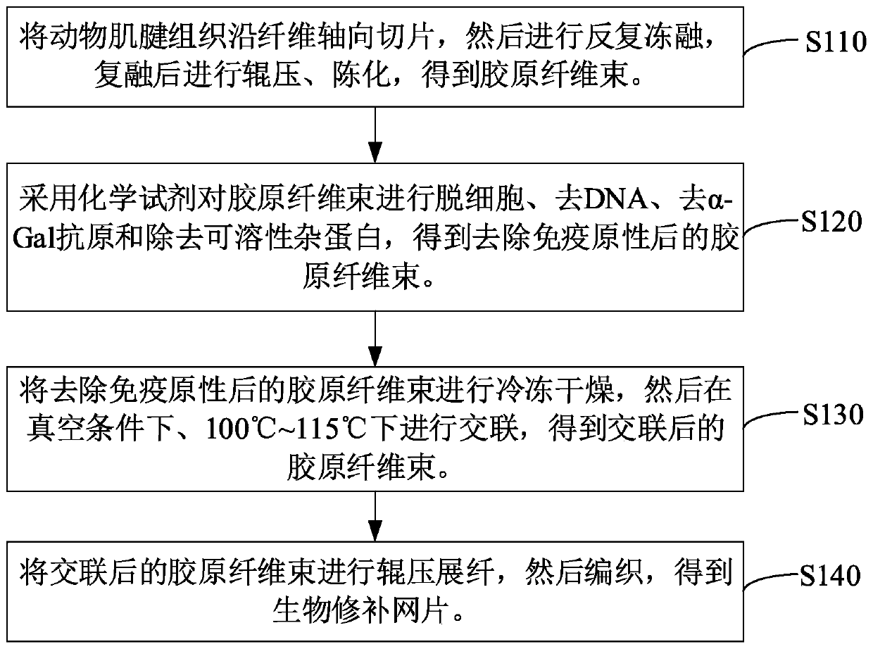 Biological repair mesh and preparation method and application thereof