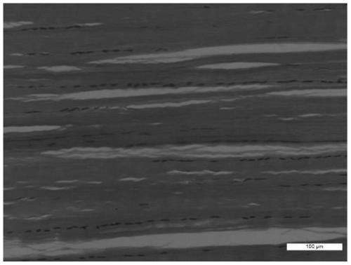 Biological repair mesh and preparation method and application thereof