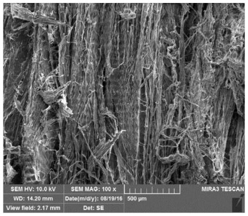 Biological repair mesh and preparation method and application thereof