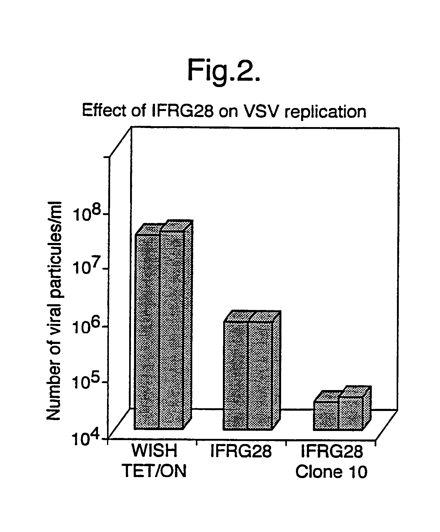 Interferon alpha responsive protein