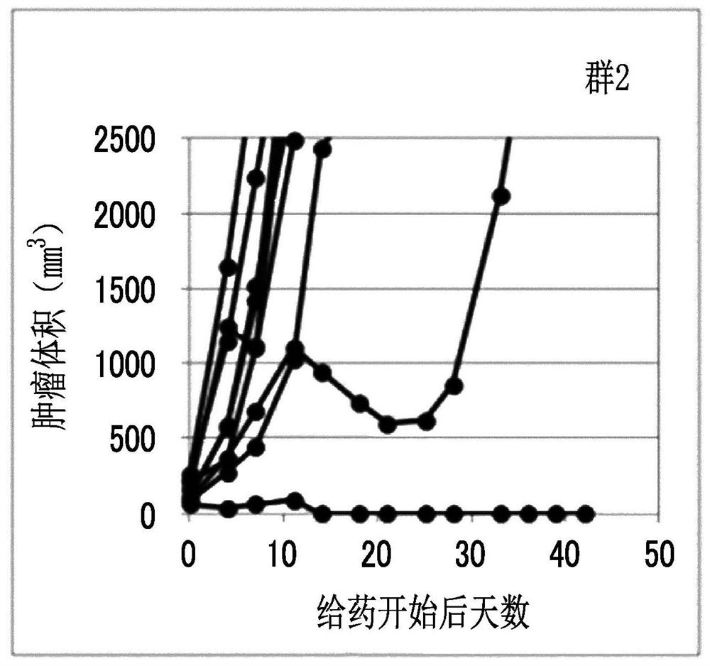 Combination medication containing liposome composition encapsulating drug and immune checkpoint inhibitor