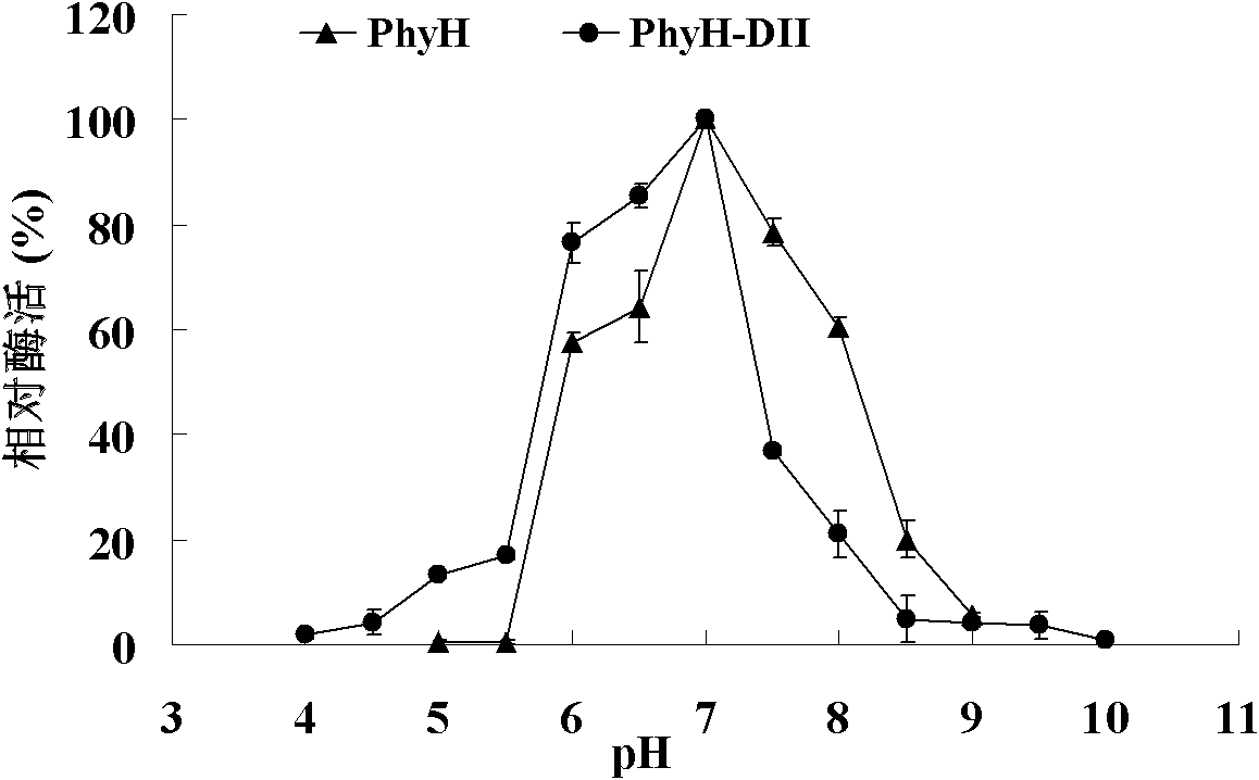 Low-temperature neutral phytase PhyH with double structure domains as well as gene and application thereof