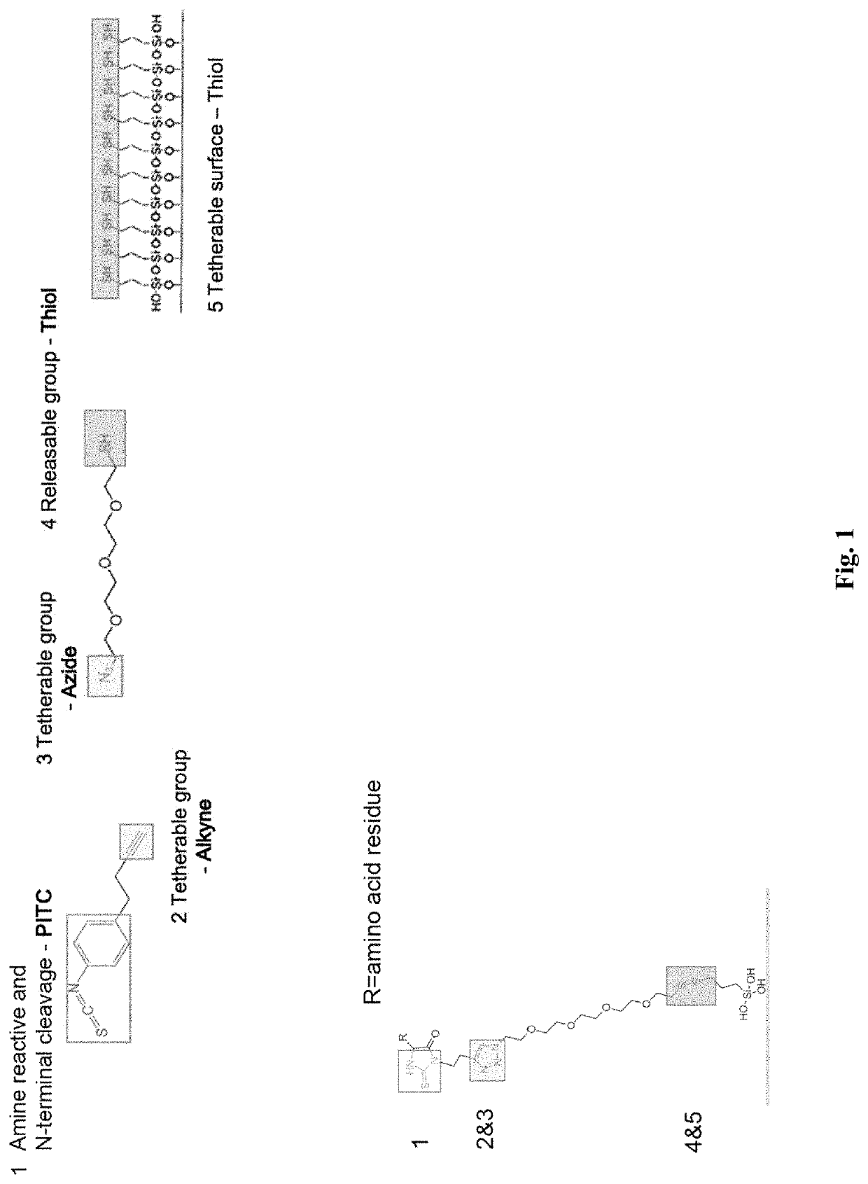 Single-molecule protein and peptide sequencing