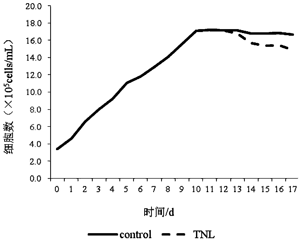 Culture method for promoting autotrophy microalgae neutral lipid accumulation