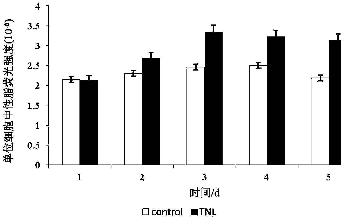 Culture method for promoting autotrophy microalgae neutral lipid accumulation