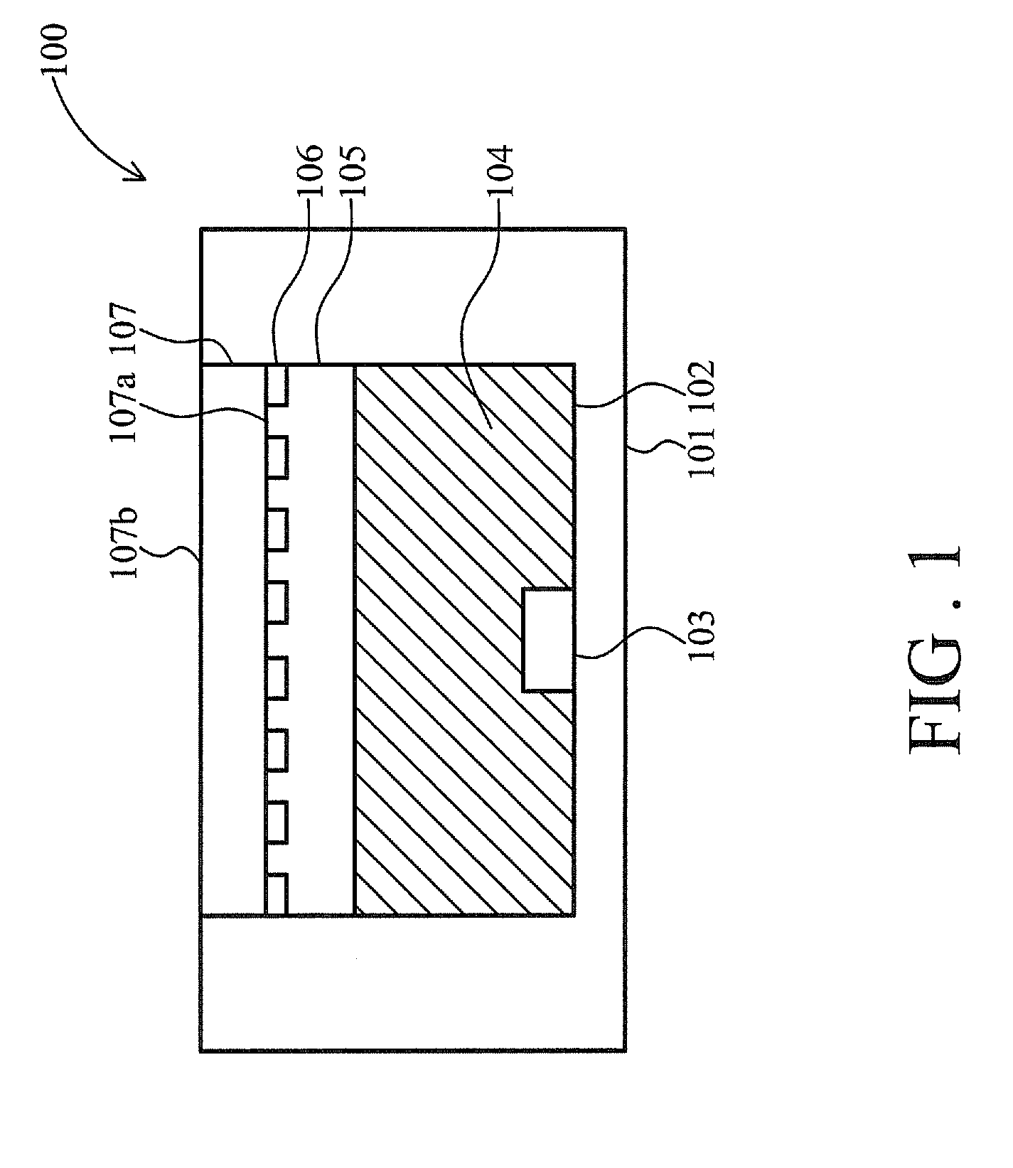 Polarized white light emitting diode