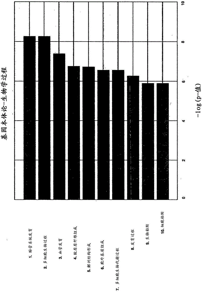 Molecular diagnostic test for cancer