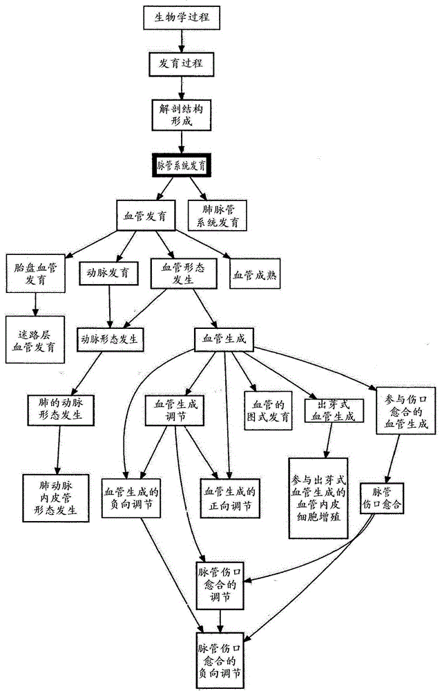 Molecular diagnostic test for cancer