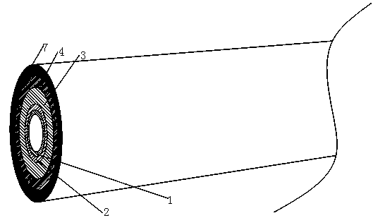 Integrated stainless steel-carbon steel composite tube and preparation process and coating process thereof