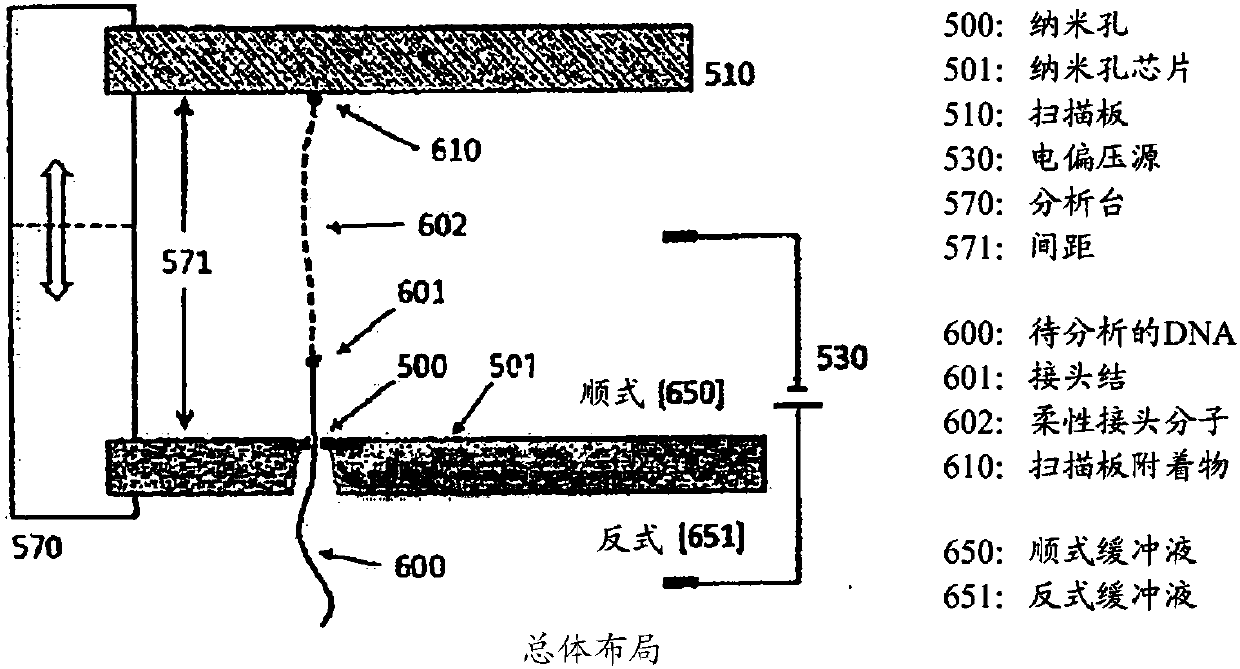 Methods and systems for controlling dna, RNA and other biological molecules passing through nanopores