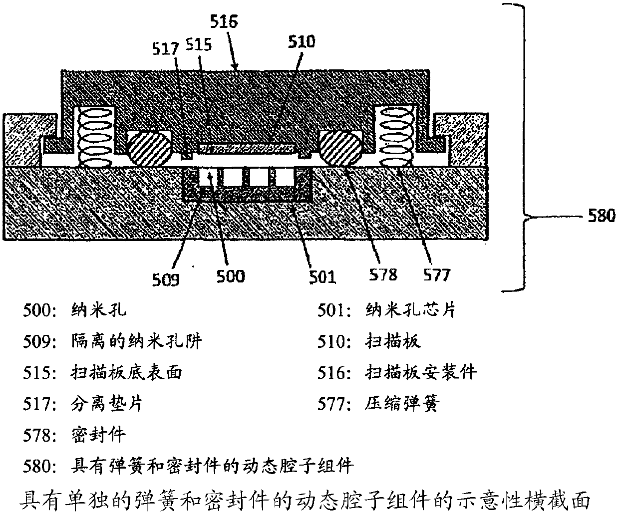 Methods and systems for controlling dna, RNA and other biological molecules passing through nanopores