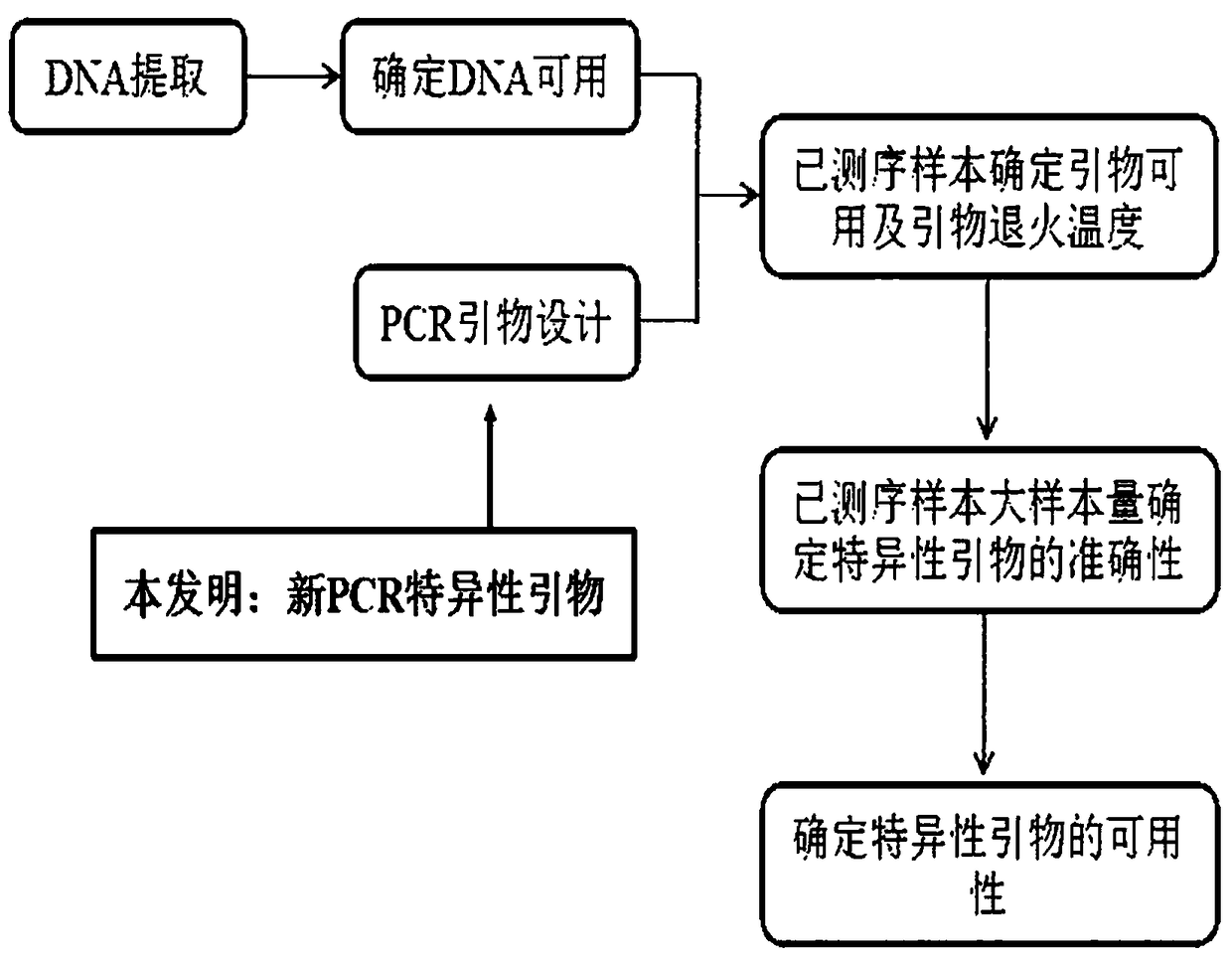 A specific primer, molecular marker and detection method for efficiently detecting rice resistance gene pita