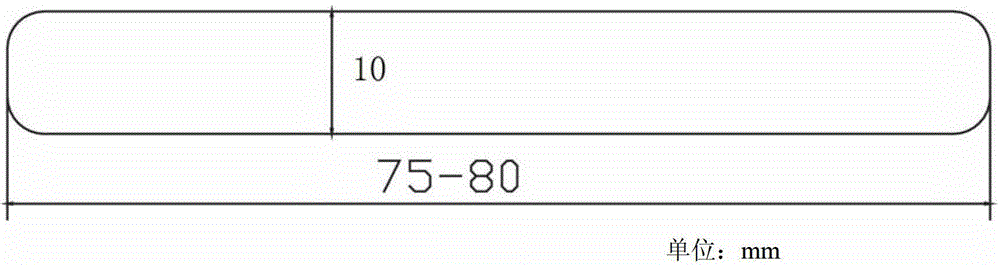 Heterogeneous scleral piece used for posterior scleral reinforcement and preparation method thereof