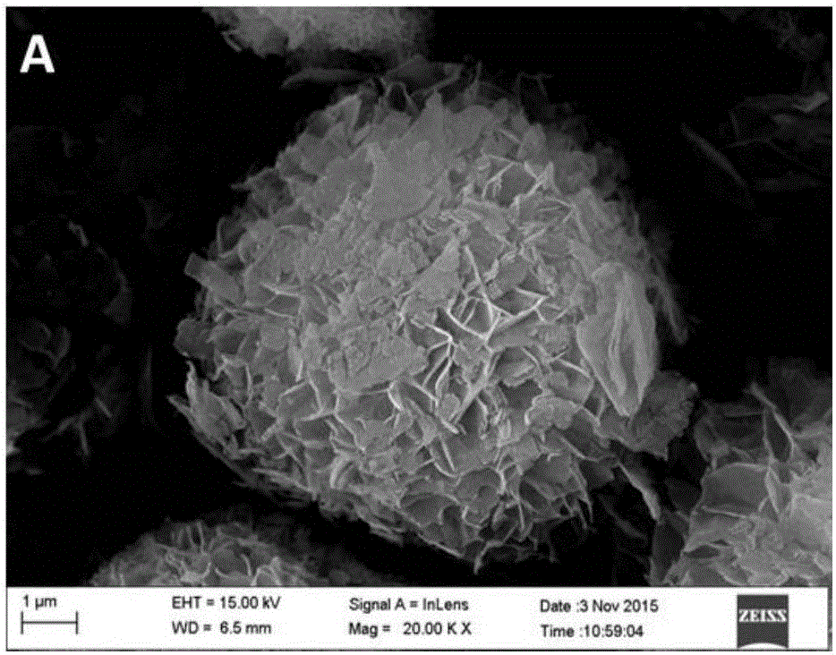 Vanadium trioxide micro-nano particle and preparation method thereof