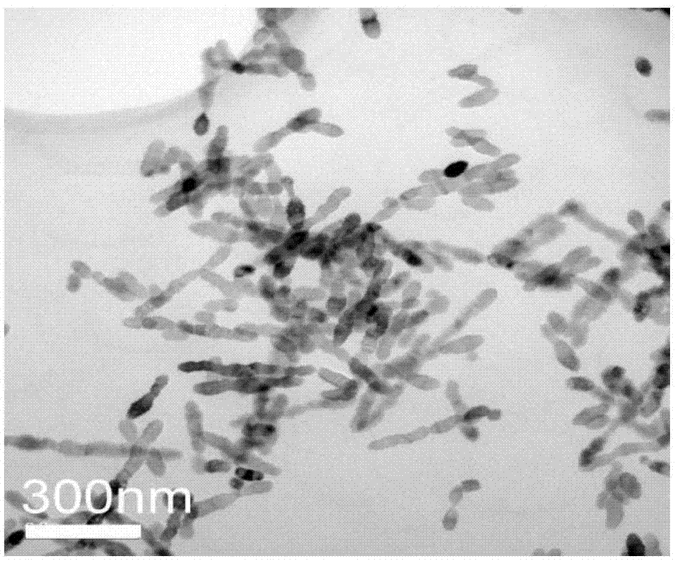 Anatase titanium dioxide nano-rods and preparation method thereof