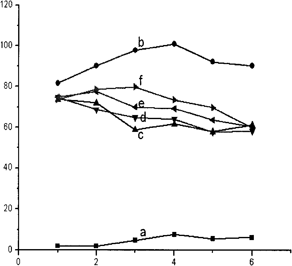 Application of affine cudweed extractive in preparing medicaments for preventing and curing chronic infectious arthritis