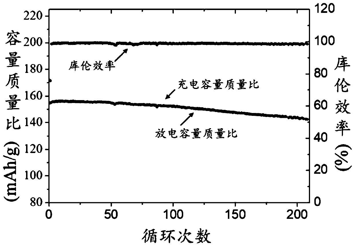 Method for preparing lithium metal battery negative electrode supported by carbon/tin composite substrate