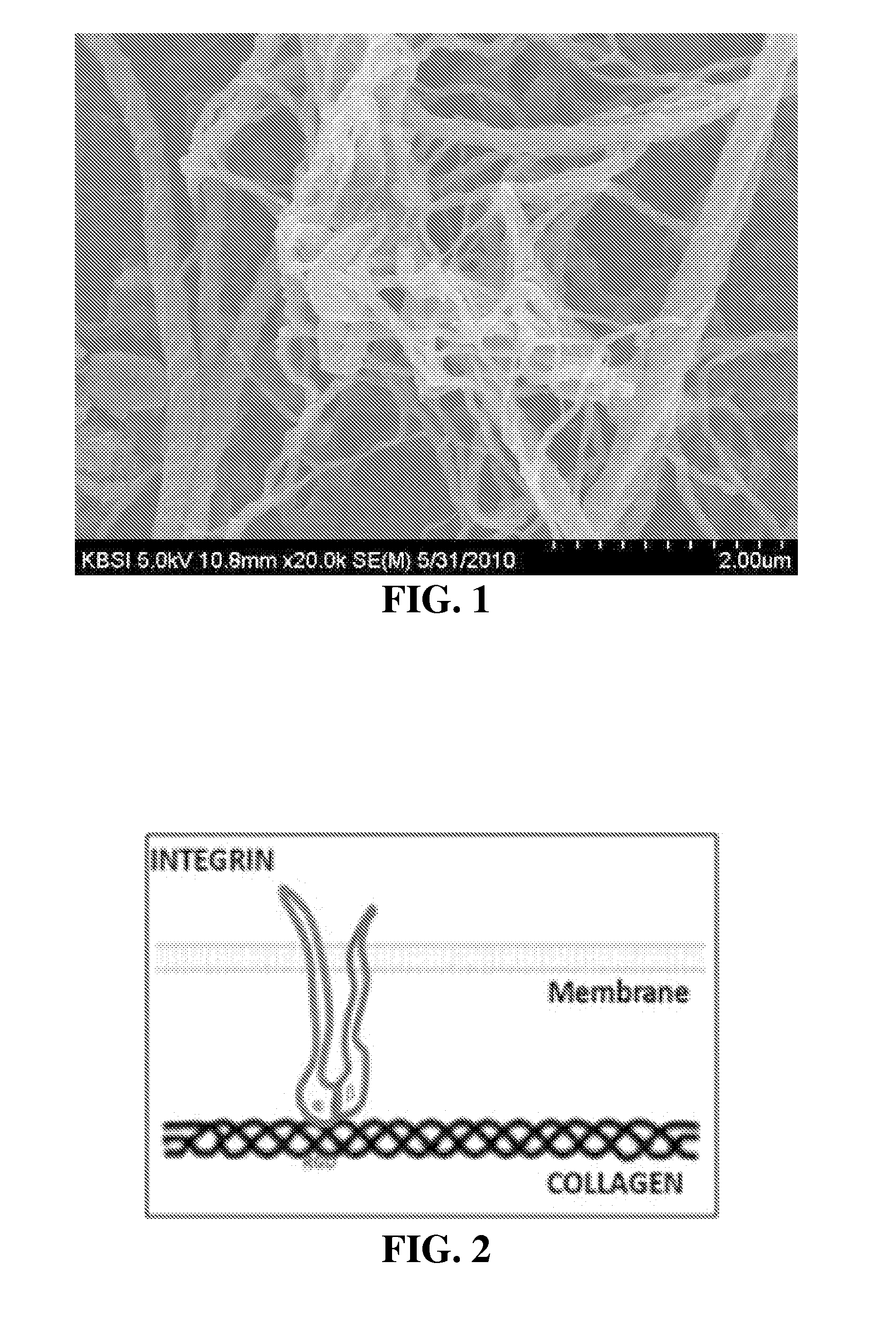 Tissue sealant in which collagen and fibrin are mixed, and method for preparing same