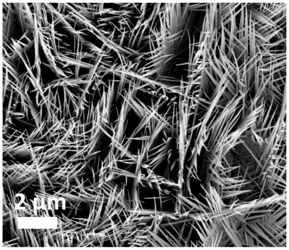 Nickel-cobalt-iron ternary oxide water electrolysis composite material, preparation method and application thereof