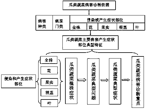 An internet vegetable disease self-service diagnosis method and system based on melon vegetable disease typical characteristics