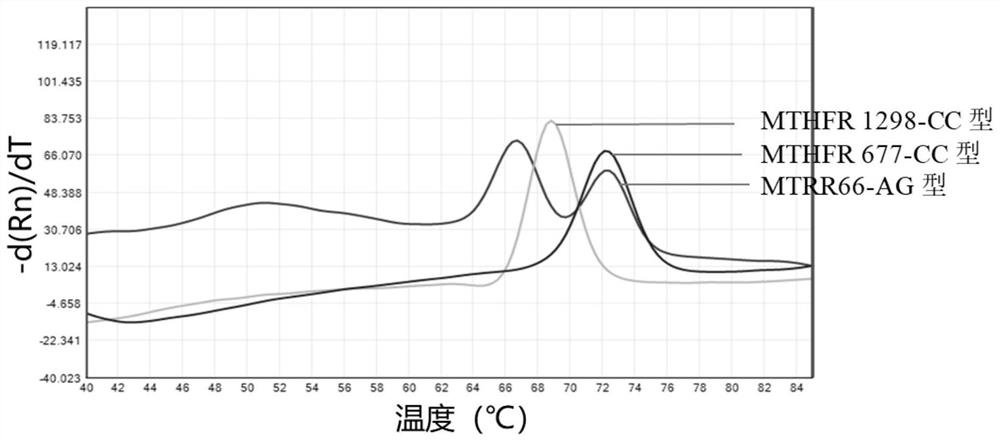 Primer probe combination for detecting polymorphism of folate metabolism related genes and application of primer probe combination