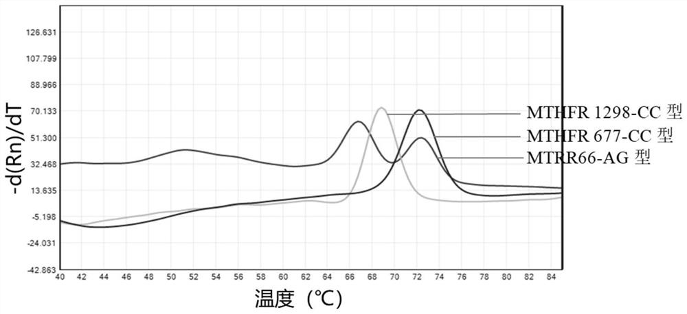 Primer probe combination for detecting polymorphism of folate metabolism related genes and application of primer probe combination