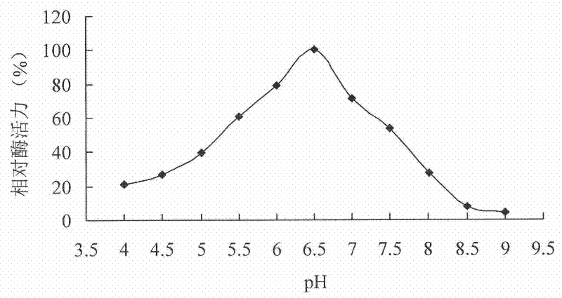 Neutral phytase CP53 from rumen and gene and application thereof