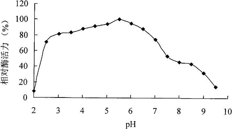 Neutral phytase CP53 from rumen and gene and application thereof