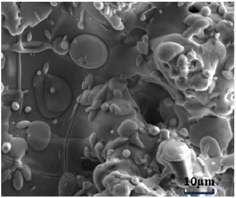 Tantalum-doped hydroxyapatite coating bone implantation material and preparation method thereof