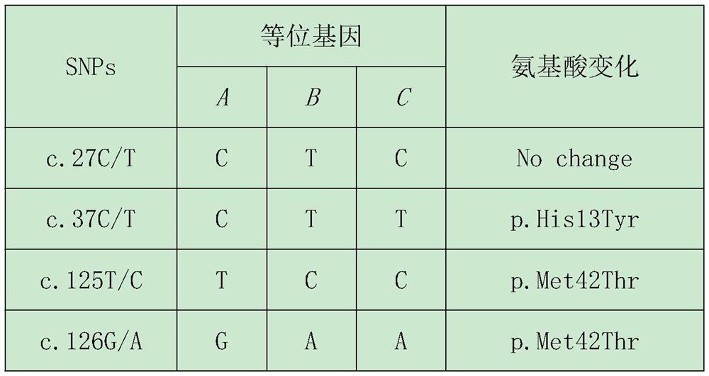 A molecular marker related to cashmere traits of Longdong cashmere goats and its application