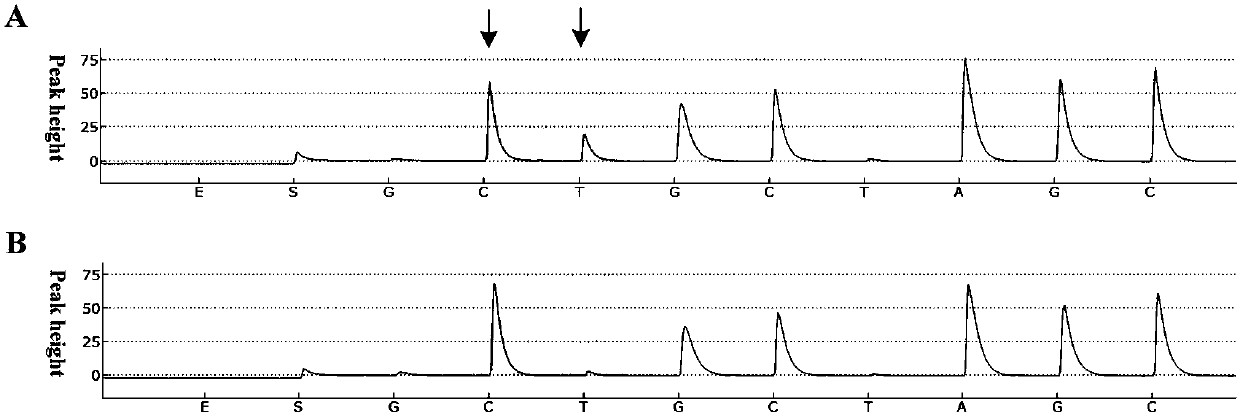 Low abundance gene mutation enriching method based on removing wild sequences