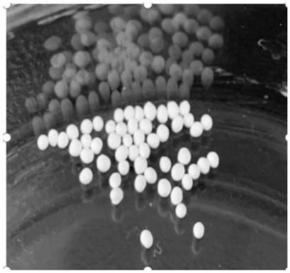 Preparation method of cellulose aerogels ball with controllable diameters