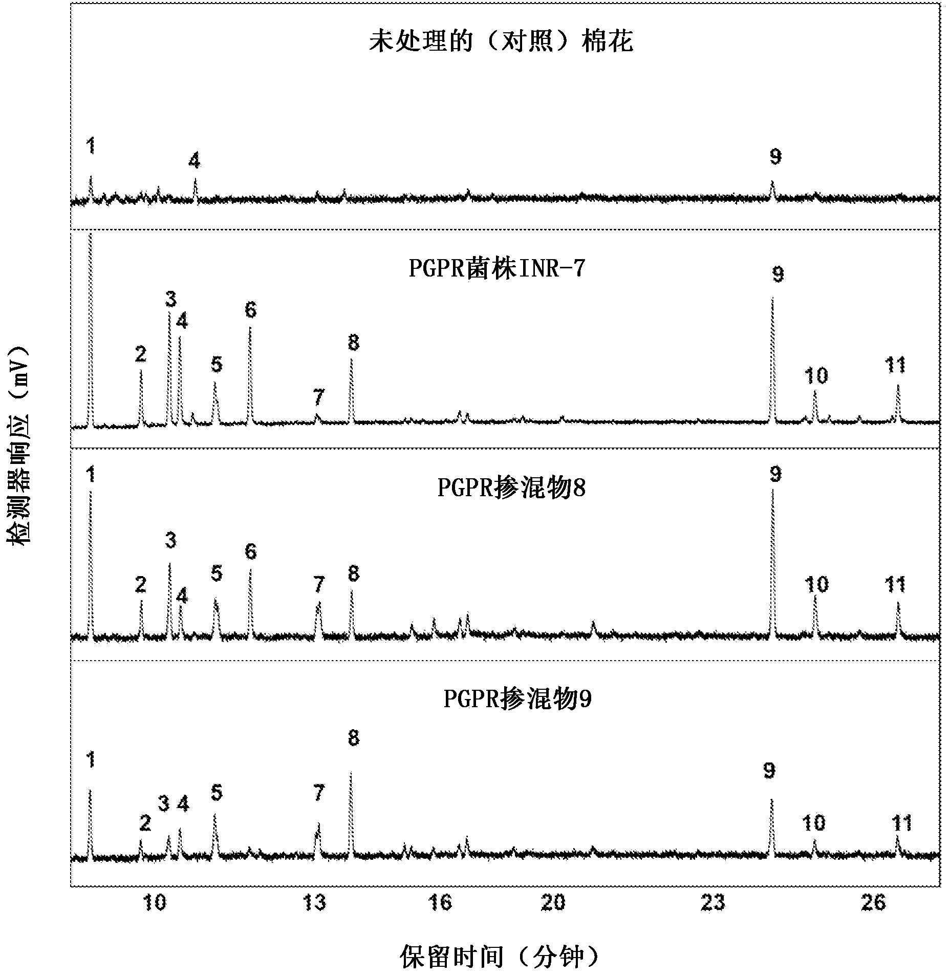 Inoculants including bacillus bacteria for inducing production of volatile organic compounds in plants