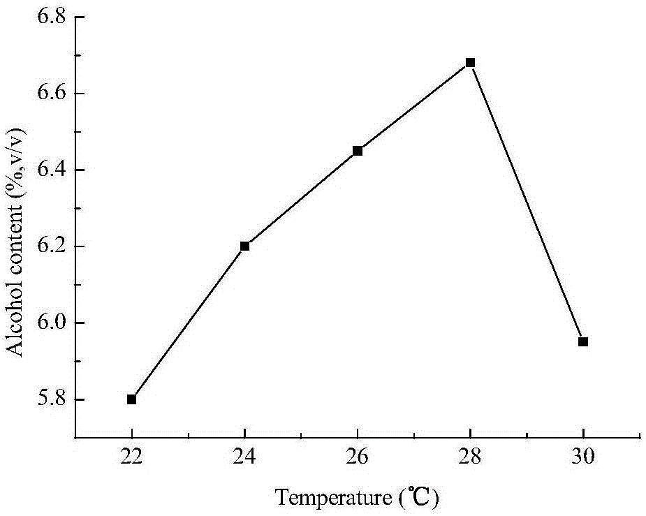 Preparation process for sugarcane fruit wine