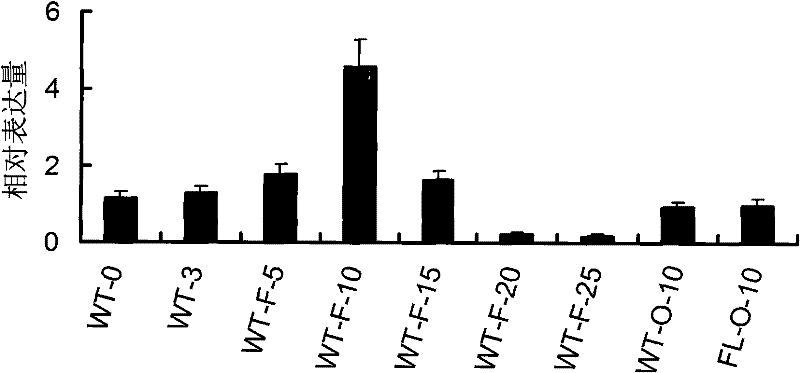 UDP-glucuronosyltransferase isomerase, coding gene thereof and use thereof