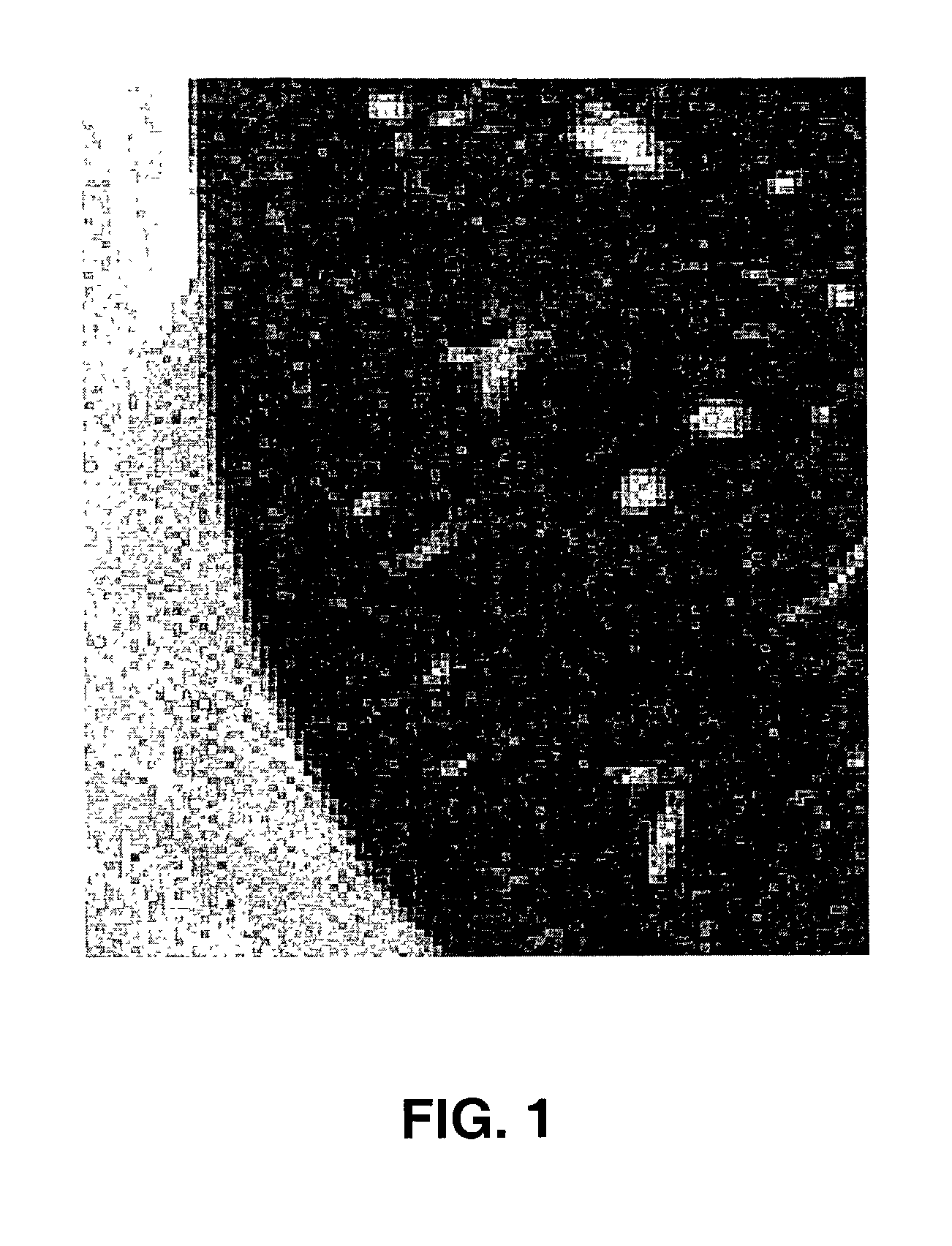 Region growing in anatomical images