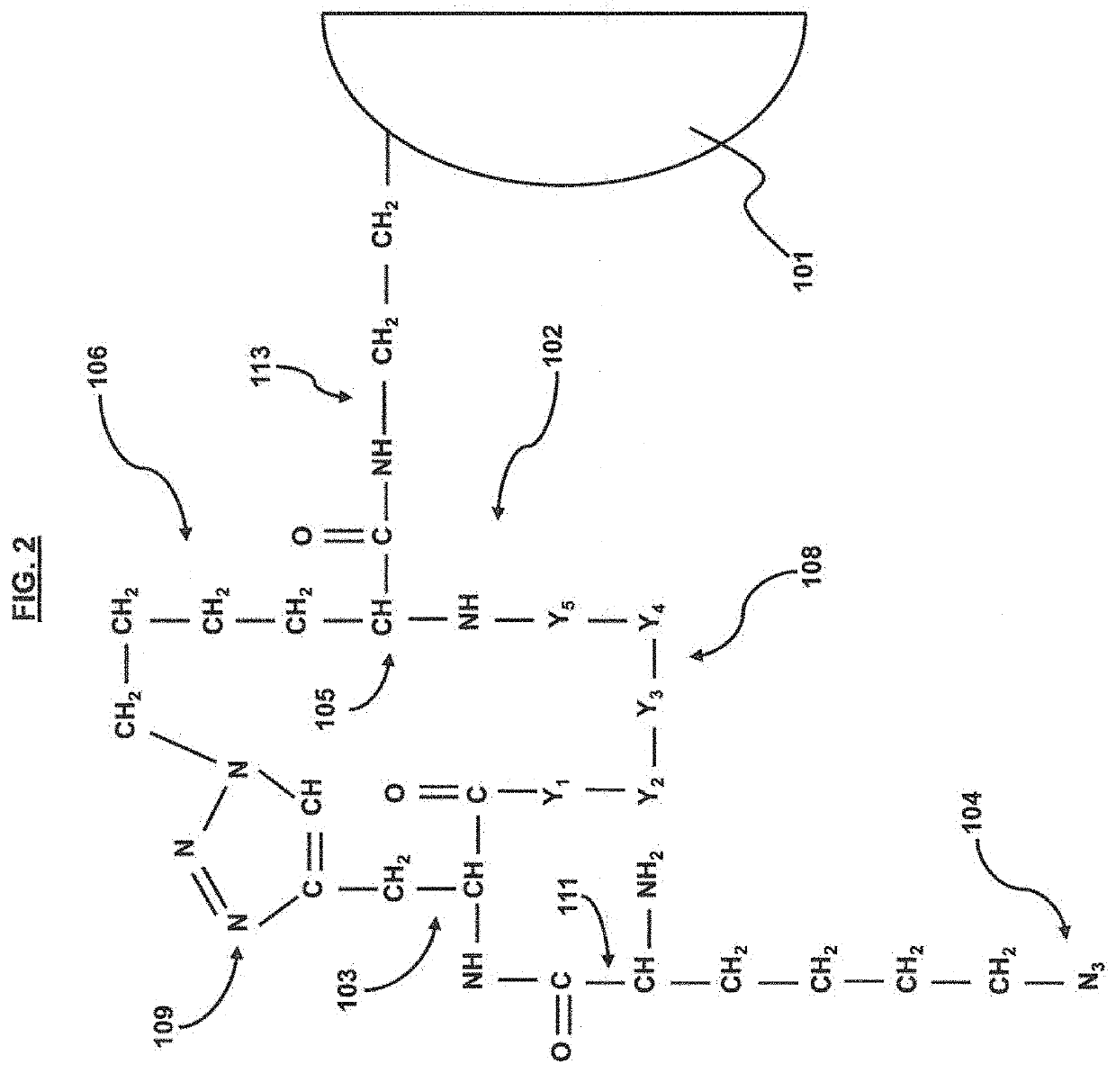 Methods for developing virus protein specific capture agents, capture agents, and methods of using the capture agents